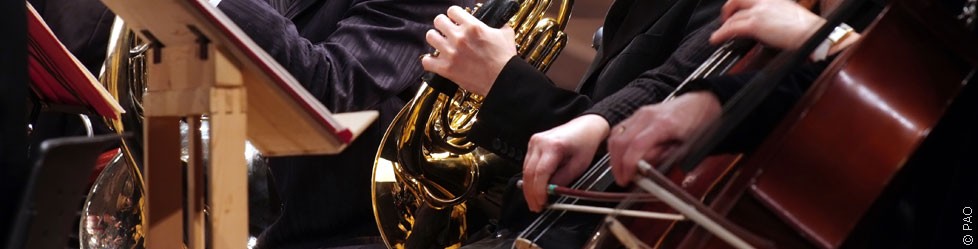 Какие обязанности возлагаются на автора по договору с РАО?