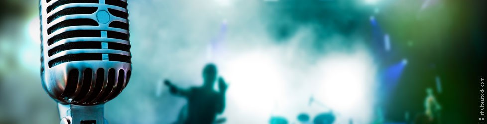 Каким образом определяется размер (ставка) авторского вознаграждения?