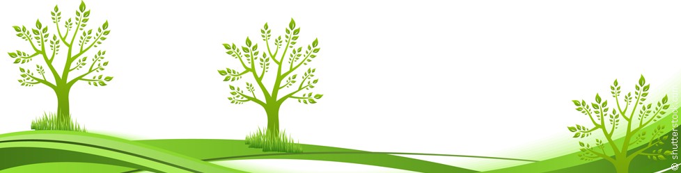 Какими ставками руководствуется РАО при начислении авторского вознаграждения?